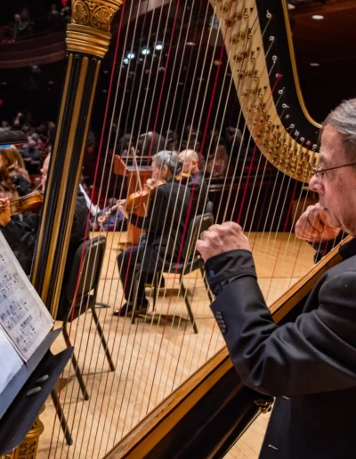 Harpist performing with the No Name Pops